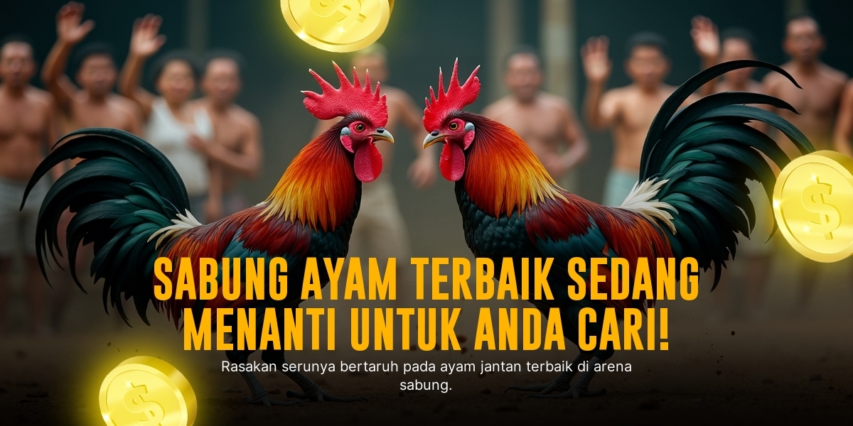 Mengenal Ayam Bangkok: Raja dalam Sabung Ayam SV388